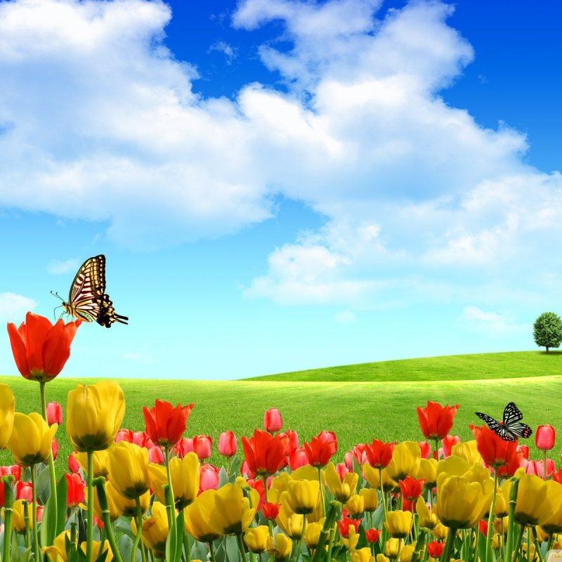 10 Most Popular High Resolution Spring Wallpaper FULL HD 1920×1080 For PC Desktop 2022 free download %name