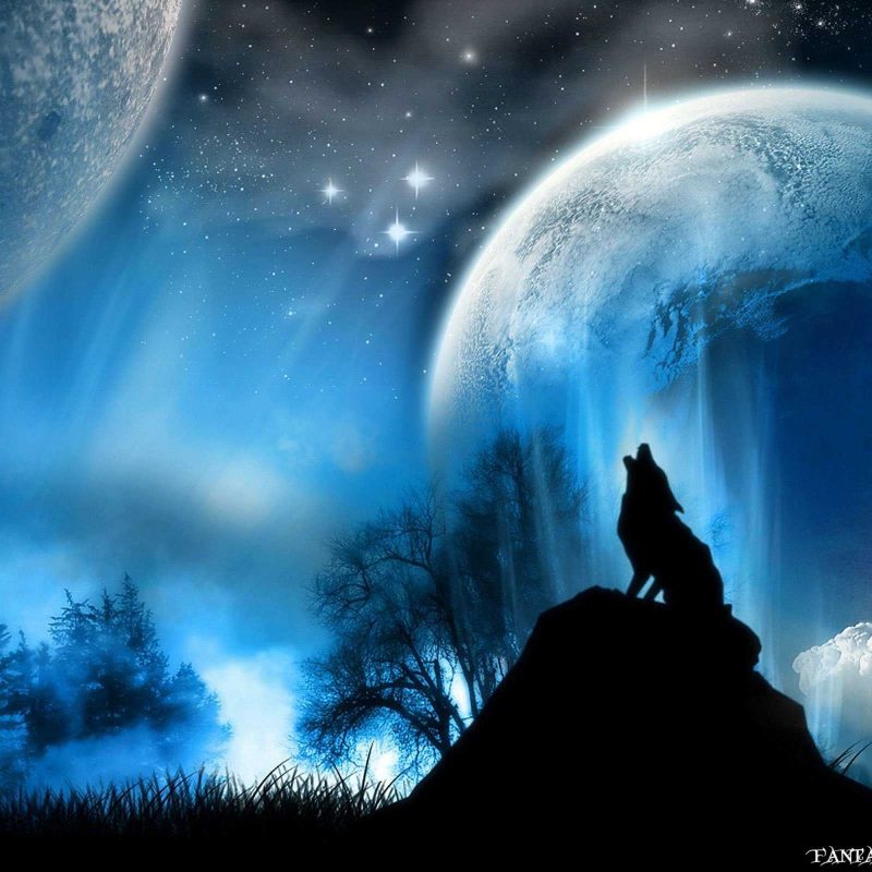 10 Latest Images Of Wolves Howling At The Moon FULL HD 1080p For PC Desktop 2023 free download backgrounds of wolf howling at the moon android wallpaper hd laptop 800x800