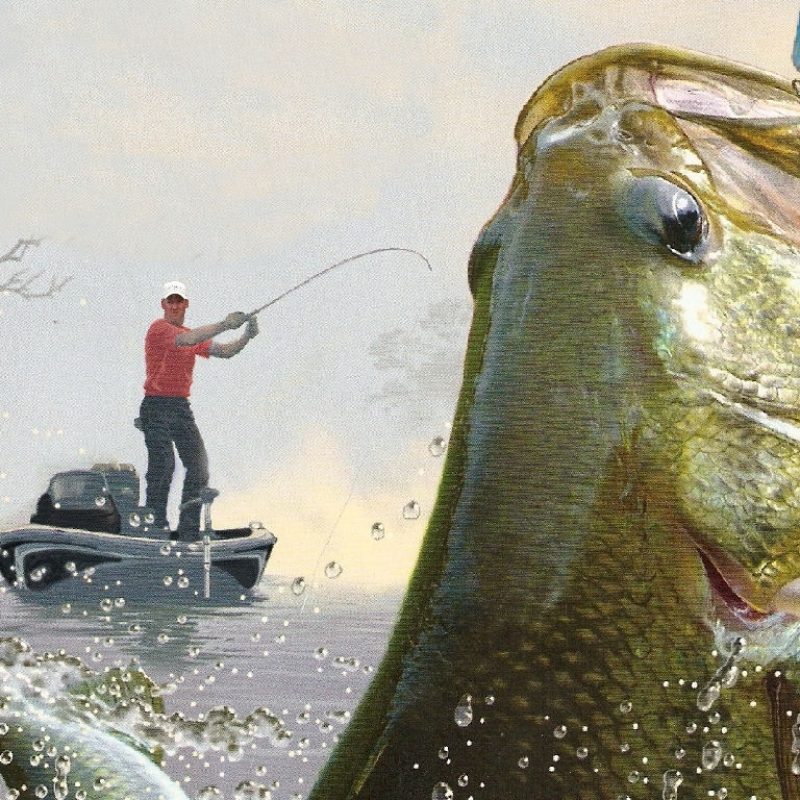 10 Top Bass Fishing Iphone Wallpaper FULL HD 1080p For PC Desktop 2022 free download bass fishing wallpaper for iphone roominvite me wallpaper 1 800x800