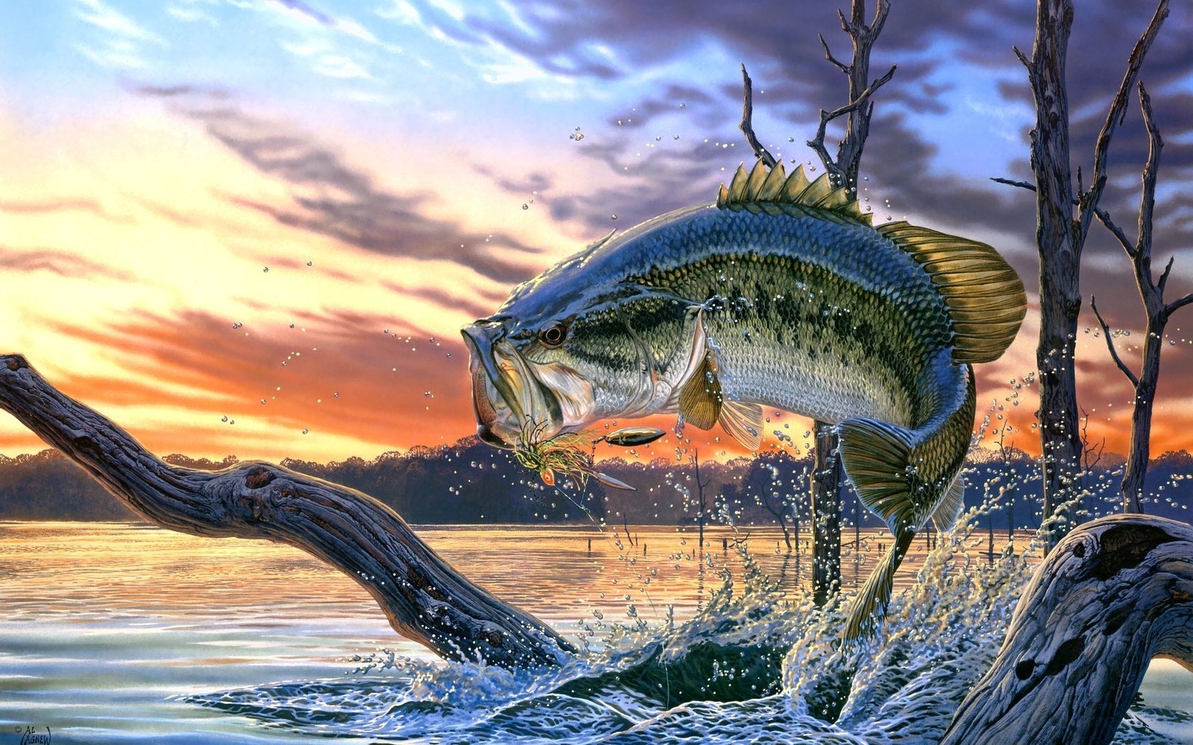 10 Most Popular Bass Fishing Screen Savers FULL HD 1080p For PC Background