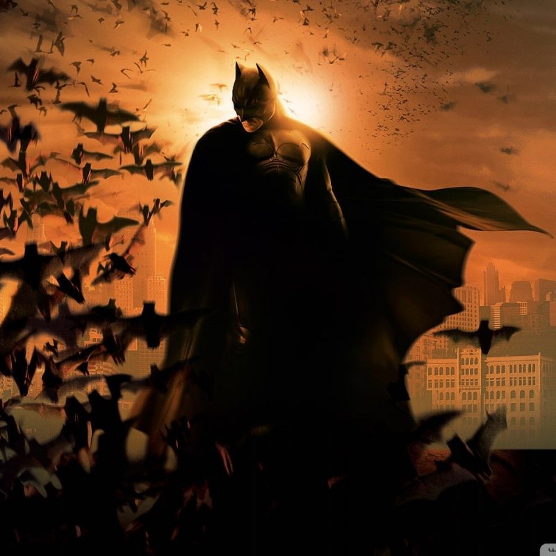 10 Top The Dark Knight Wallpaper FULL HD 1920×1080 For PC Background 2022 free download batman 3 the dark knight rises e29da4 4k hd desktop wallpaper for 4k 1 800x800