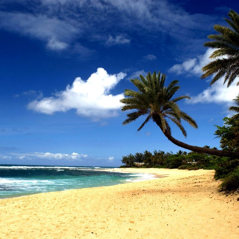 10 New Pics Of Hawaiian Beaches FULL HD 1920×1080 For PC Background 2022 free download beach sand 800x800