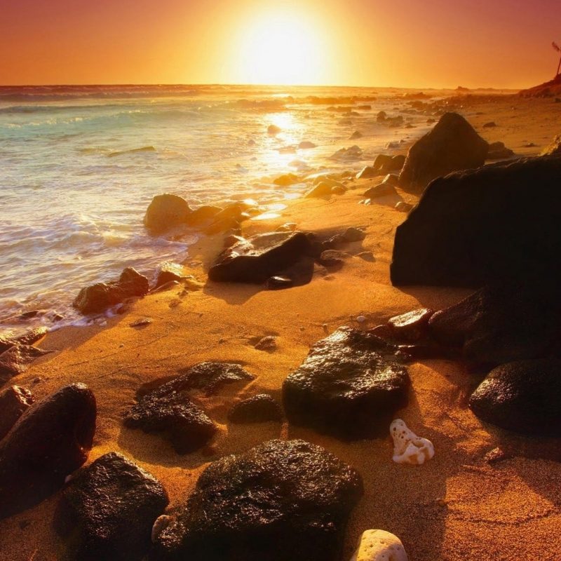 10 Latest Summer Beach Sunset Wallpaper FULL HD 1080p For PC Background 2022 free download beach sunset night sea beautiful summer rocks beach hd wallpapers 800x800