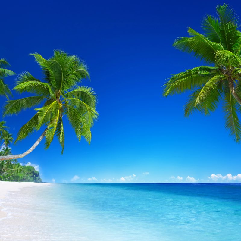 10 Best Ocean Beach Hd Wallpaper FULL HD 1080p For PC Background 2022 free download beaches islands hd wallpapers beach desktop backgroundsstock 1 800x800