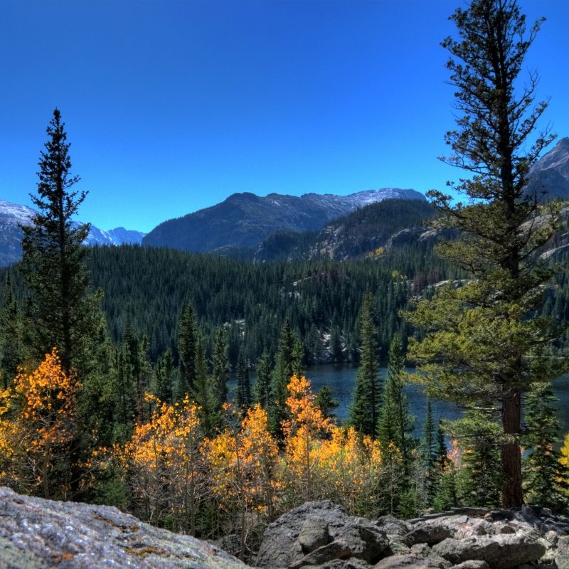 10 New Rocky Mountain National Park Wallpaper FULL HD 1920×1080 For PC Background 2022 free download bear lake rocky mountain national park colorado e29da4 4k hd desktop 800x800