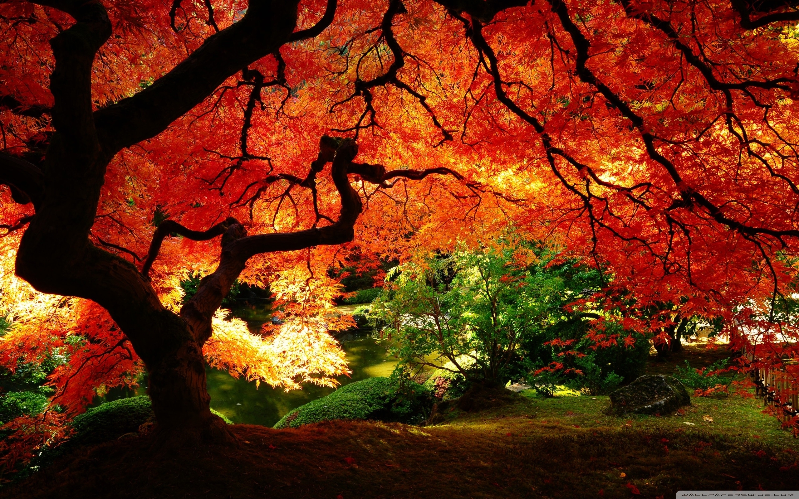 10 Best Autumn Pictures For Desktop Backgrounds FULL HD 1080p For PC Desktop