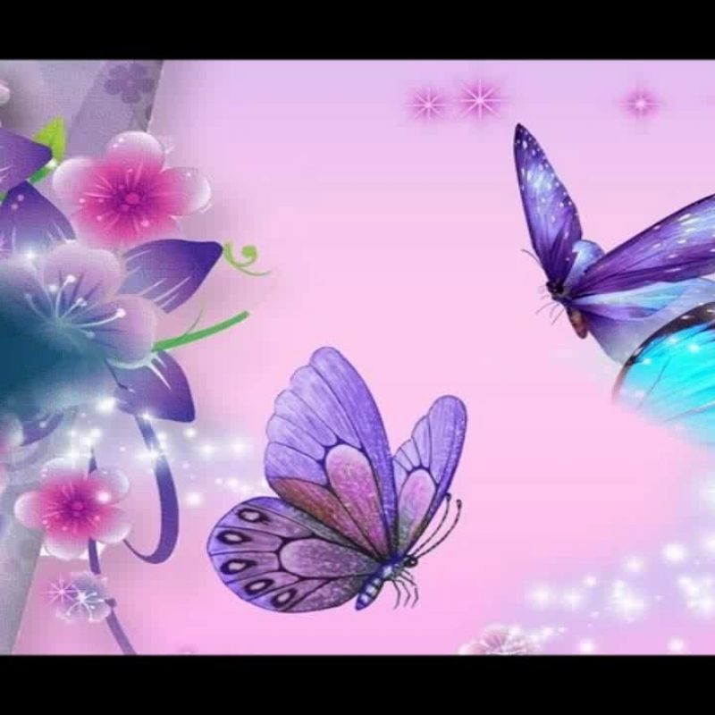 10 Most Popular Beautiful Wallpapers Of Butterflies FULL HD 1920×1080 For PC Desktop 2023 free download beautiful butterfly wallpapers hd pictures youtube 800x800