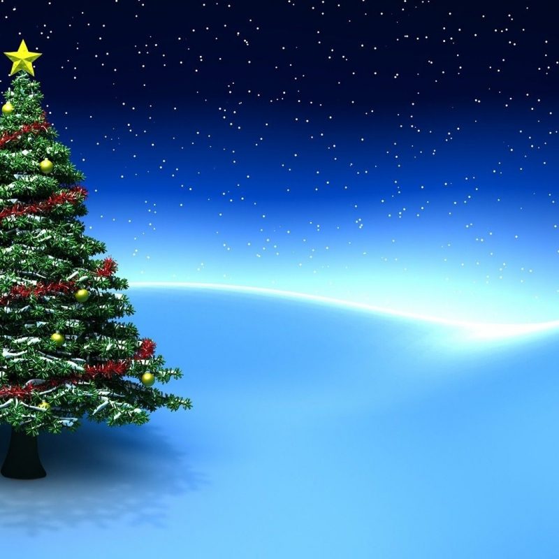 10 Top Christmas Tree Wallpaper Backgrounds FULL HD 1920×1080 For PC Background 2022 free download beautiful christmas tree wallpapers christmas tree wallpaper and 800x800