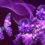 beautiful purple flowers images - bing images | butterflies