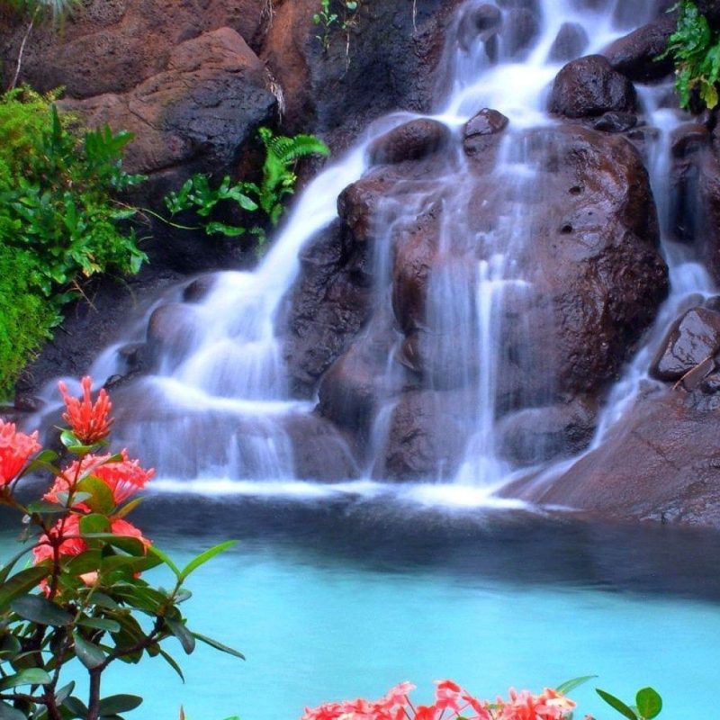 10 Best Waterfall And Flowers Wallpaper FULL HD 1080p For PC Desktop 2024 free download beautiful waterfall and pink flowers free hd for desktop hd wallpaper 800x800