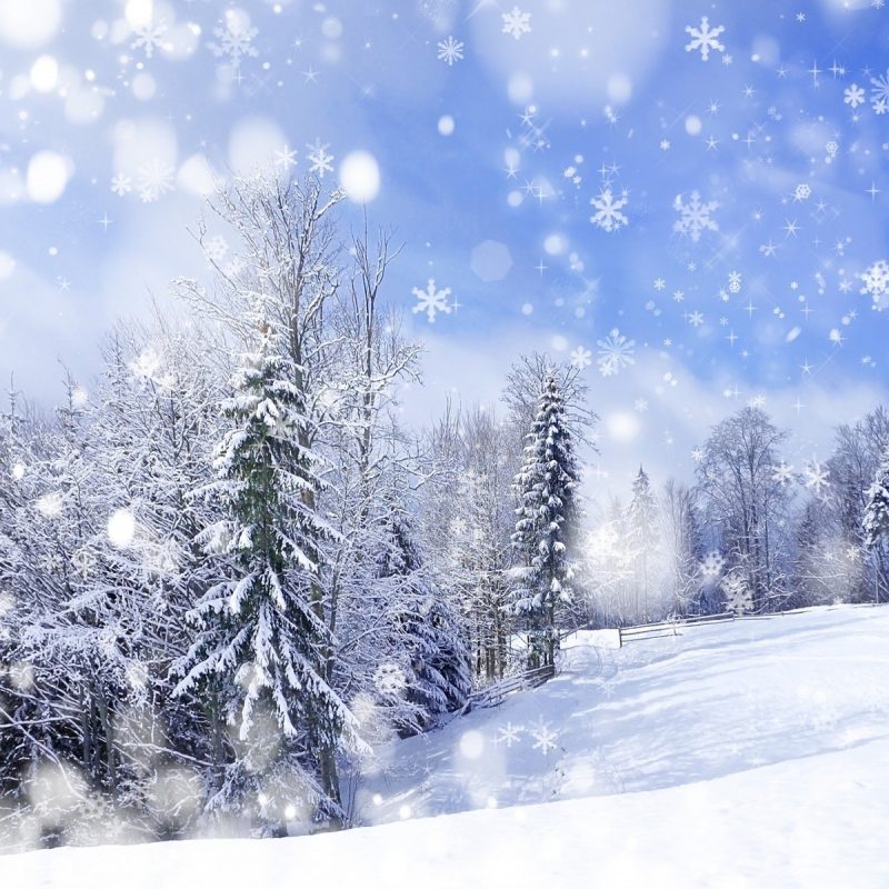 10 Most Popular Images Of Winter Landscapes FULL HD 1920×1080 For PC Desktop 2022 free download beautiful winter landscapecopyright volodymyr burdiak desktop 800x800