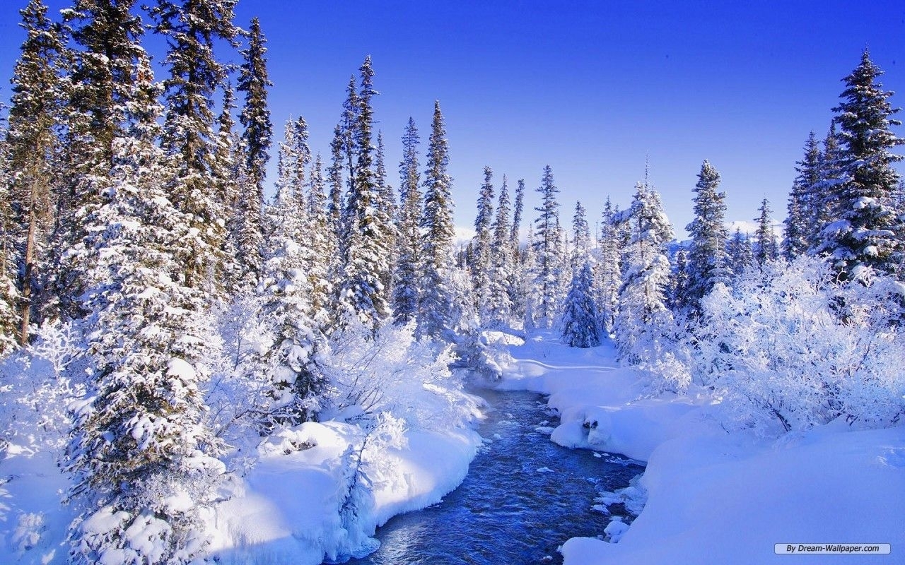 beautiful winter wonderland nature wallpapers pictures | just things