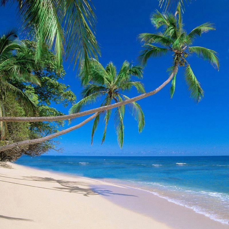 10 New Pics Of Hawaiian Beaches FULL HD 1920×1080 For PC Background 2023 free download best hawaii beaches best hawaiian beaches honeymoon dream 800x800