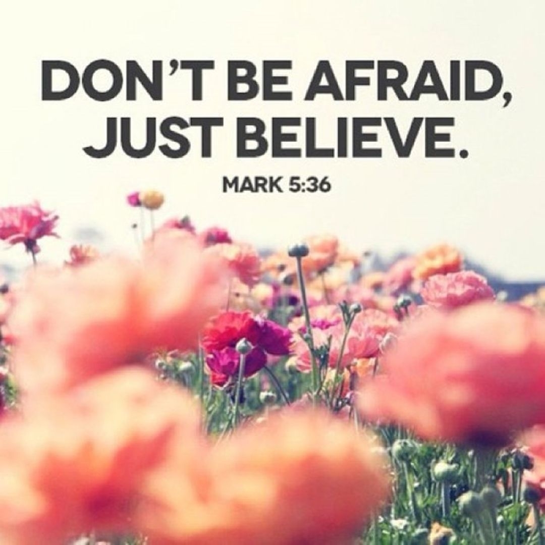 bible verses about hope - mark 5:36 hd wallpaper free download