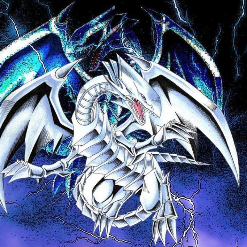 10 New Blue Eyes White Dragon Wallpapers FULL HD 1080p For PC Background 2024 free download blue eyes white dragon wallpapers wallpaper cave 4 800x800