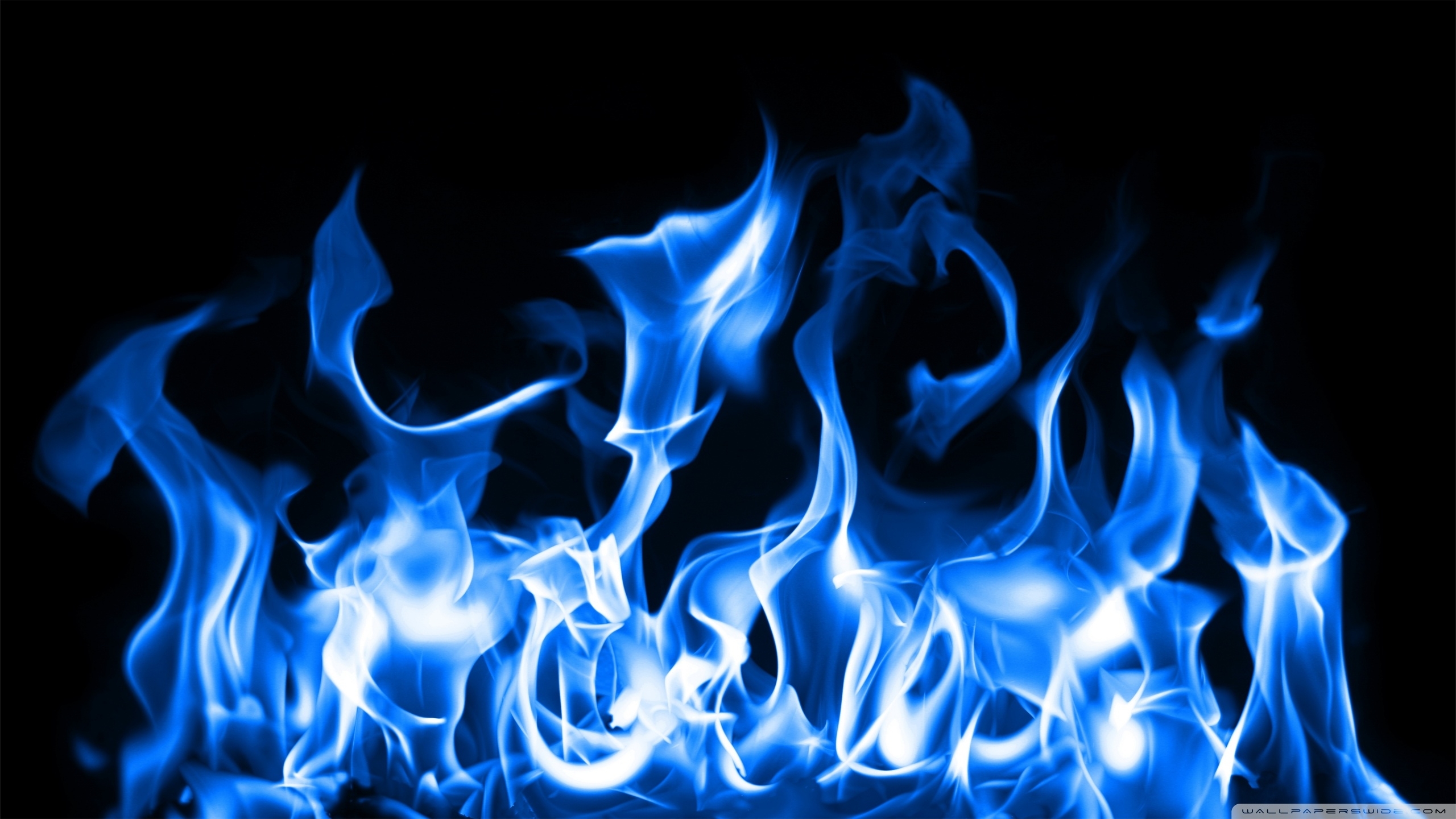 10 Latest Pictures Of Blue Fire FULL HD 1080p For PC Background