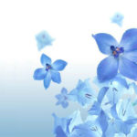 blue flower wallpapers - wallpaper cave