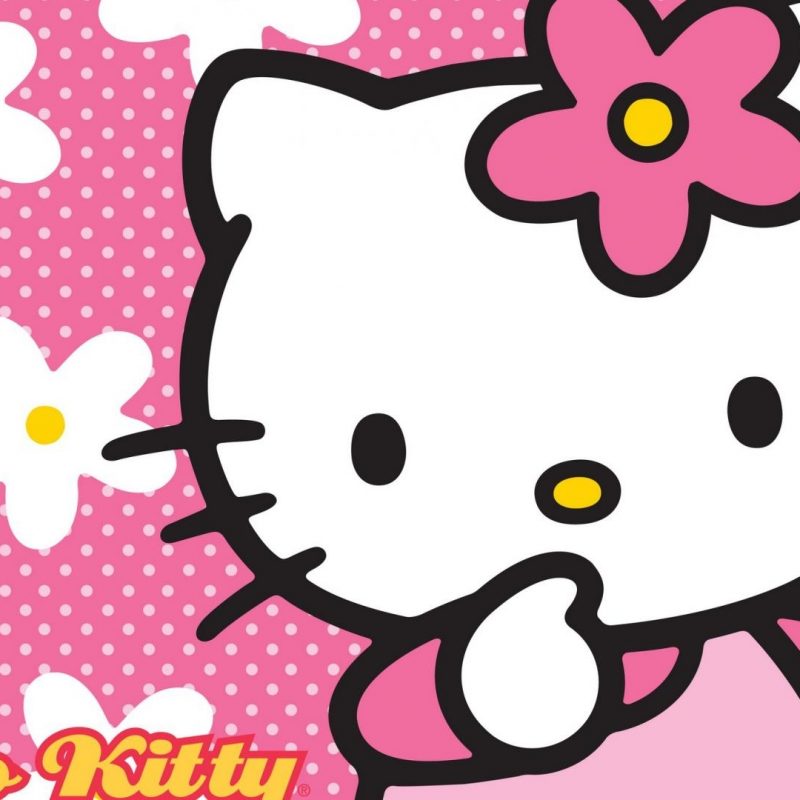 10 Latest Hello Kitty Hd Wallpaper FULL HD 1920×1080 For PC Background 2023 free download bonjour images kitty hd 800x800