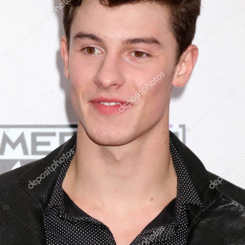 10 Best Pictures Of Shawn Mendes FULL HD 1920×1080 For PC Background 2023 free download chanteuse shawn mendes photo editoriale s bukley 132302338 800x800