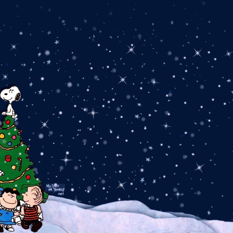 10 New A Charlie Brown Christmas Wallpaper FULL HD 1080p For PC Background 2023 free download charlie brown christmas wallpaper free large hd wallpaper database 800x800