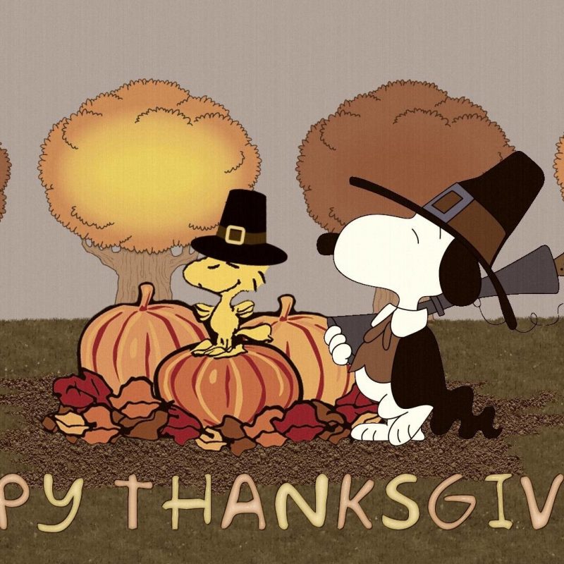 10 New Charlie Brown Thanksgiving Wallpaper FULL HD 1080p For PC Desktop 2022 free download charlie brown screensavers and wallpaper 44 images 800x800