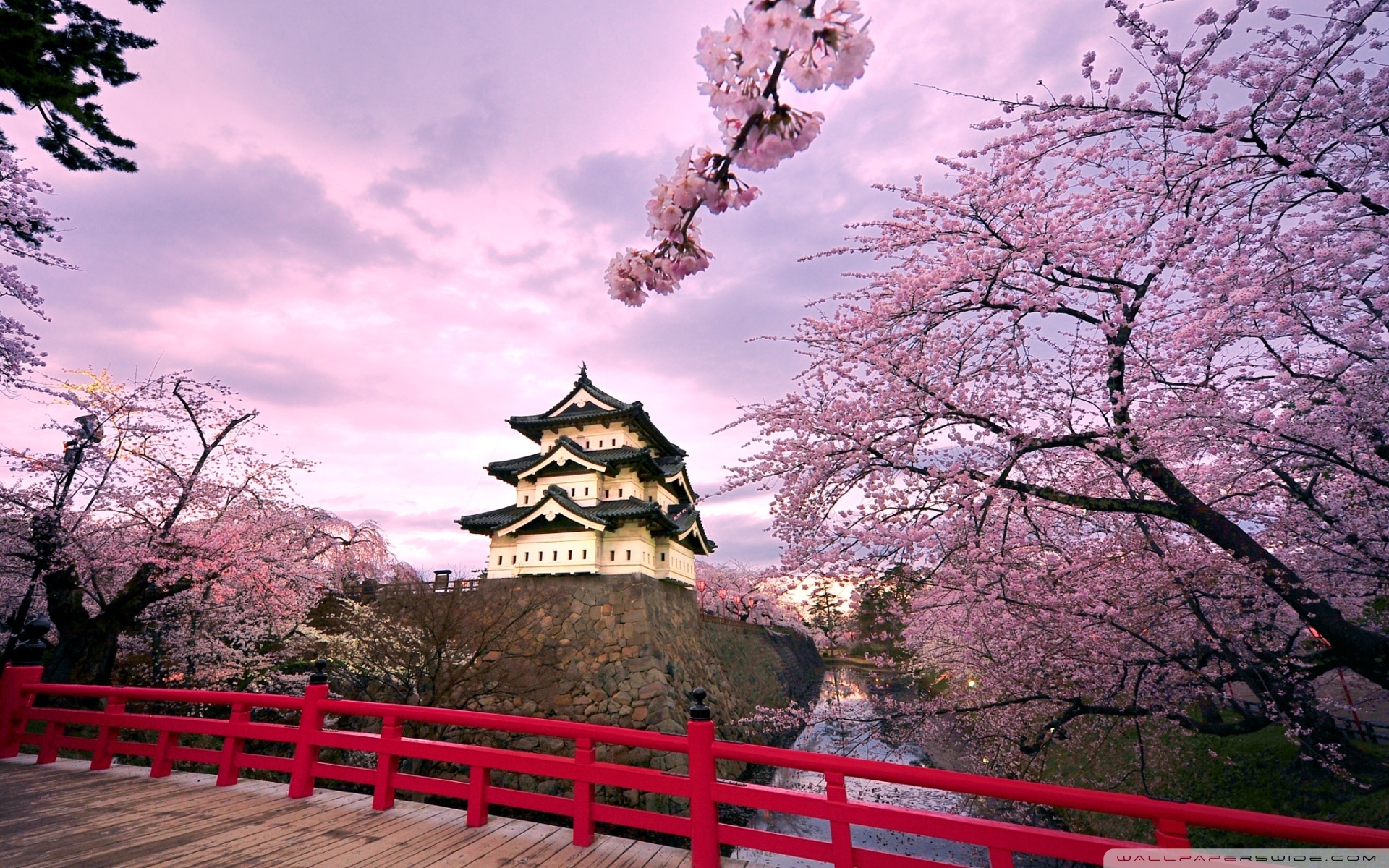 10 Best Japanese Cherry Blossom Wallpaper Hd FULL HD 1920×1080 For PC Desktop