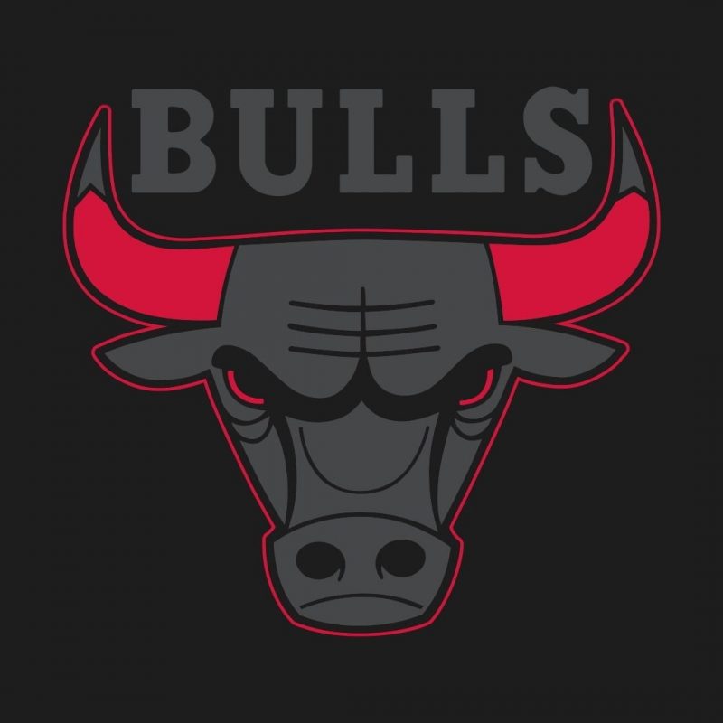 10 New Chicago Bulls Logo Wallpaper FULL HD 1080p For PC Desktop 2022 free download chicago bulls logo wallpapers hd 16 ios backgrounds wfz this 800x800