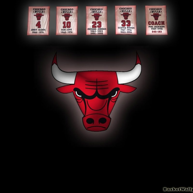 10 New Chicago Bulls Logo Wallpaper FULL HD 1080p For PC Desktop 2022 free download chicago bulls retired numbers wallpaper basketball wallpapers at 800x800
