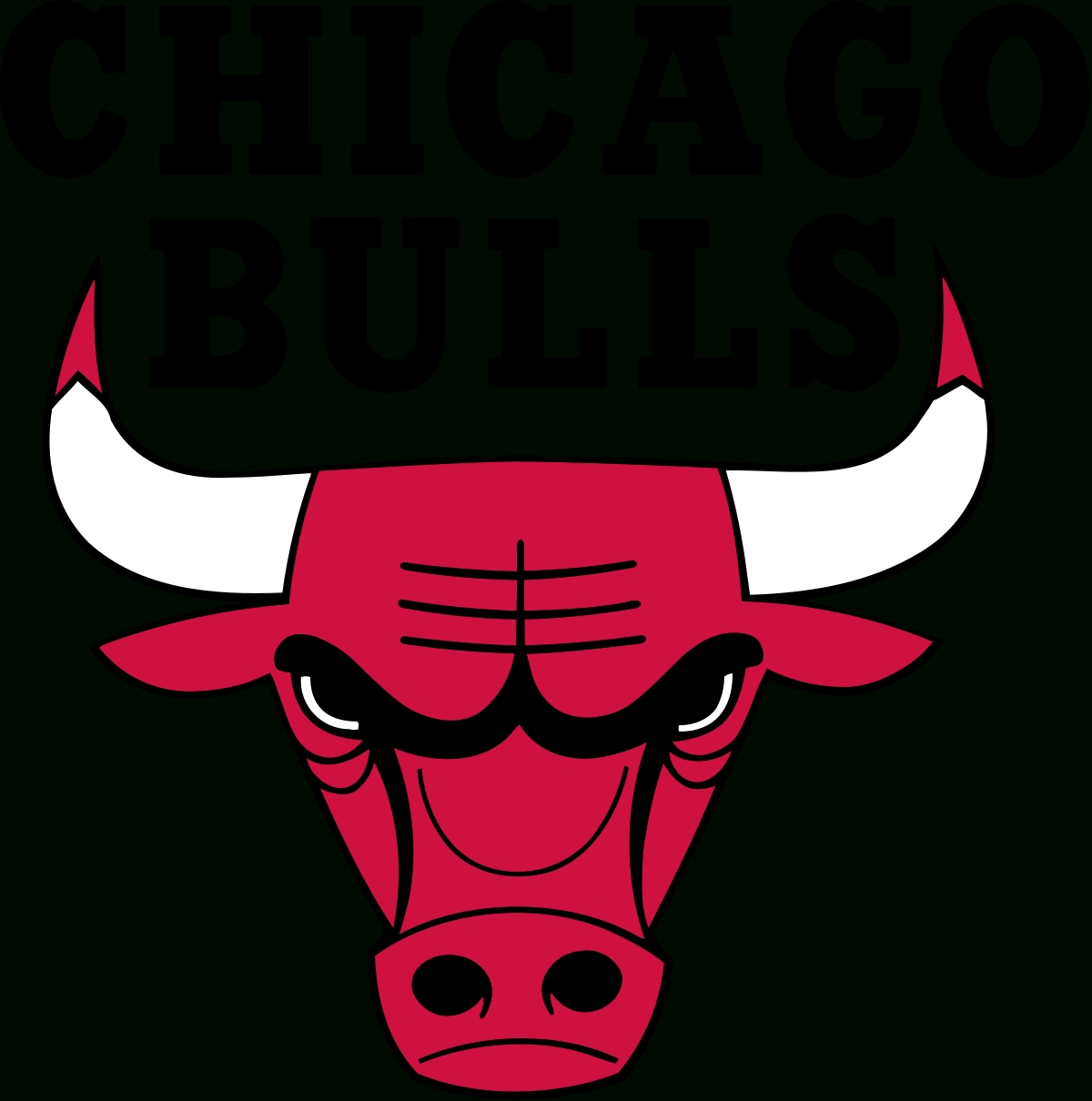 10 Top Pictures Of The Chicago Bulls FULL HD 1080p For PC Background