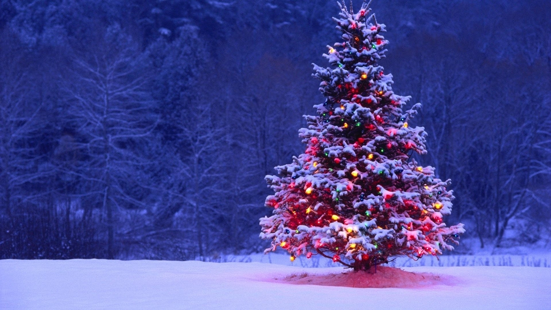 10 New Christmas Tree Wall Paper FULL HD 1920×1080 For PC Desktop