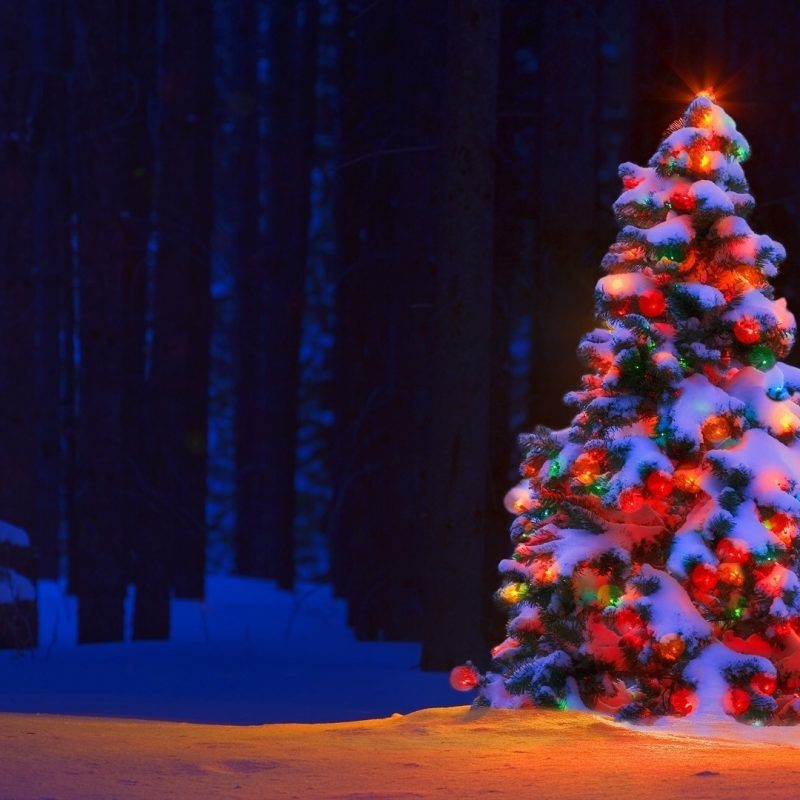 10 Best Christmas Tree Pictures For Desktop FULL HD 1920×1080 For PC Desktop 2022 free download christmas tree desktop background 74 images 800x800