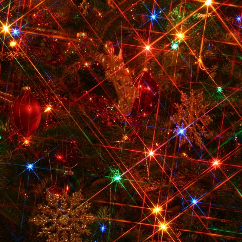 10 Top Hd Christmas Lights Wallpaper FULL HD 1080p For PC Background 2023 free download christmas tree lights e29da4 4k hd desktop wallpaper for 4k ultra hd tv 800x800