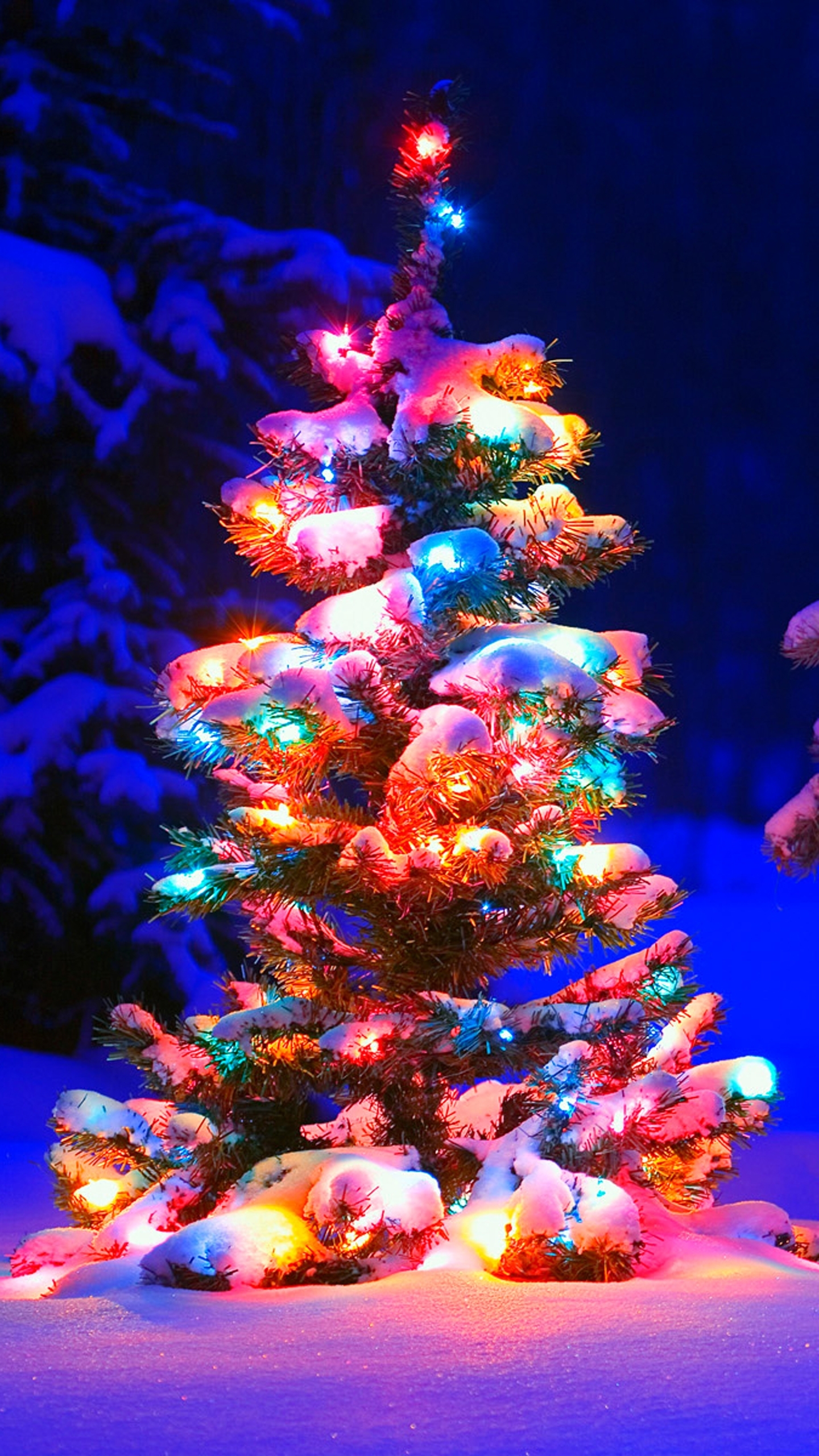 christmas tree lights snow | mobile wallpaper | phone background
