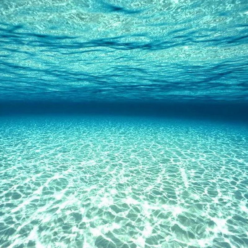 10 Most Popular Under The Water Wallpaper FULL HD 1920×1080 For PC Desktop 2023 free download collection of underwater wallpaper on spyder wallpapers 1393x961 800x800