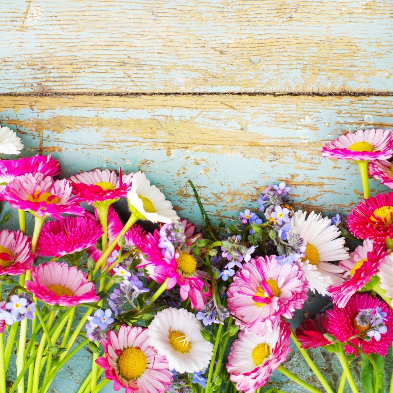 10 Best Vintage Spring Desktop Background FULL HD 1920×1080 For PC Background 2024 free download collection of vintage flowers backgrounds vintage flowers fhdq 800x800