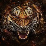 cool animal backgrounds - wallpaper cave