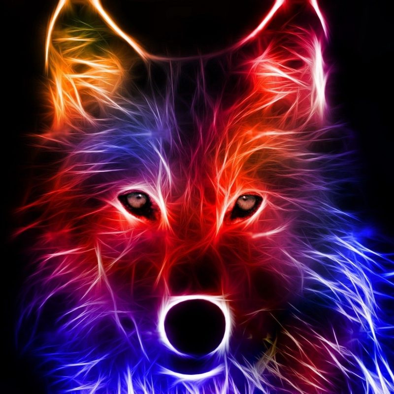 10 Latest Cool Wolf Backgrounds Light FULL HD 1920×1080 For PC Background 2024 free download cool backgrounds best wallpaper background pinteres 800x800