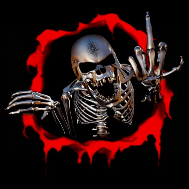 10 New Cool Wallpapers Of Skulls FULL HD 1080p For PC Desktop 2022 free download cool wallpapers skulls group 75 800x800