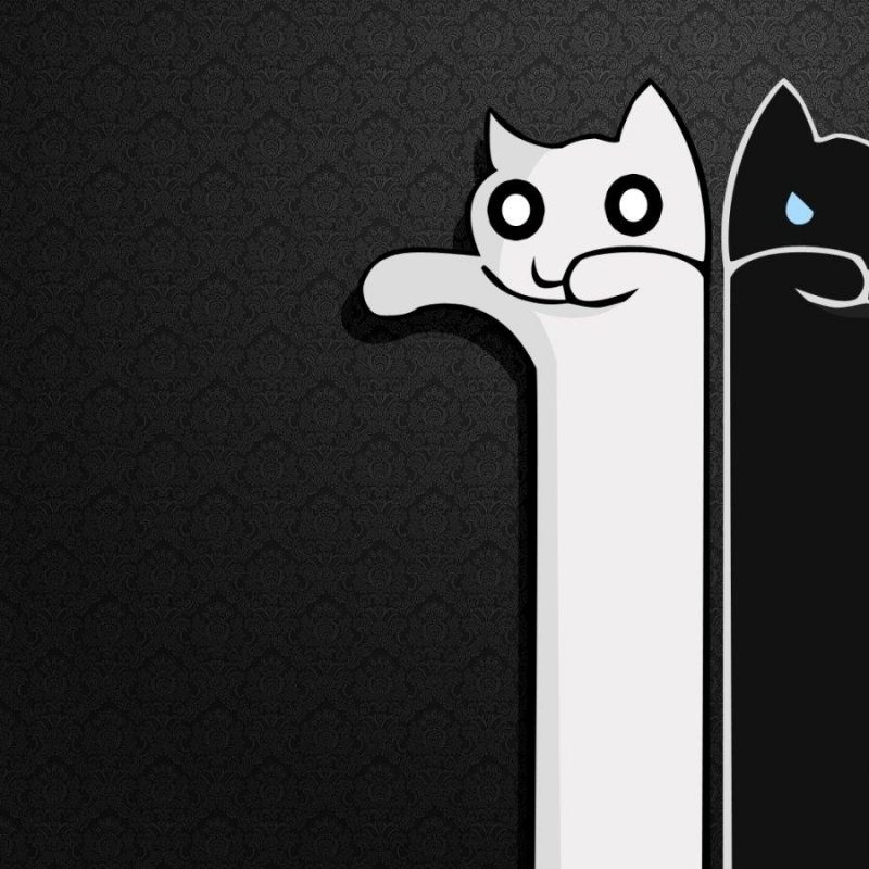 10 Top Black And White Cute Wallpaper FULL HD 1080p For PC ...