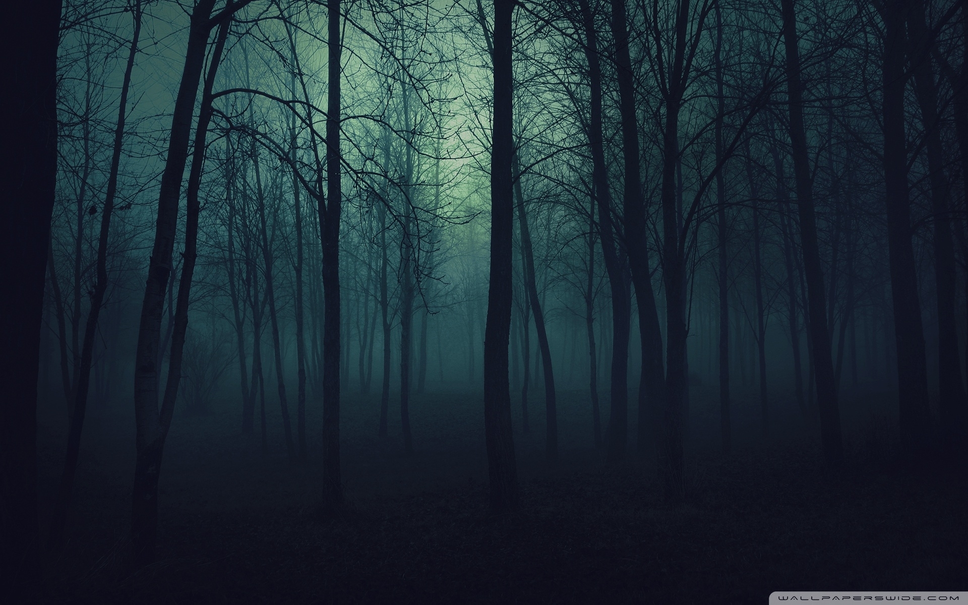 10 Latest Dark Forest Desktop Wallpaper FULL HD 1080p For PC Background