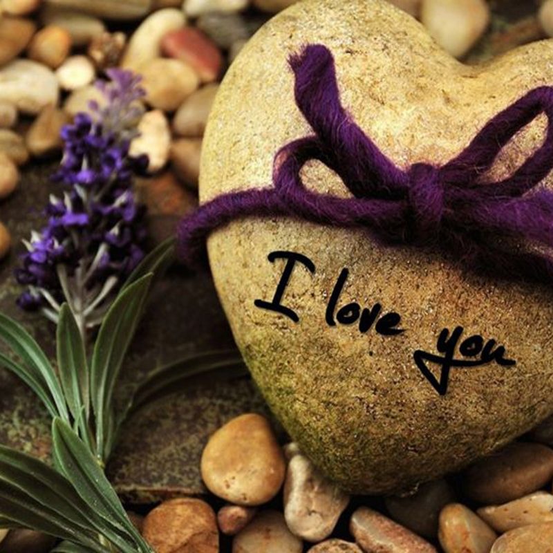 10 Best Love Hd Wallpapers Free Download FULL HD 1080p For PC Desktop 2022 free download desktop love hd obtain images new with downloads of computer nature 800x800