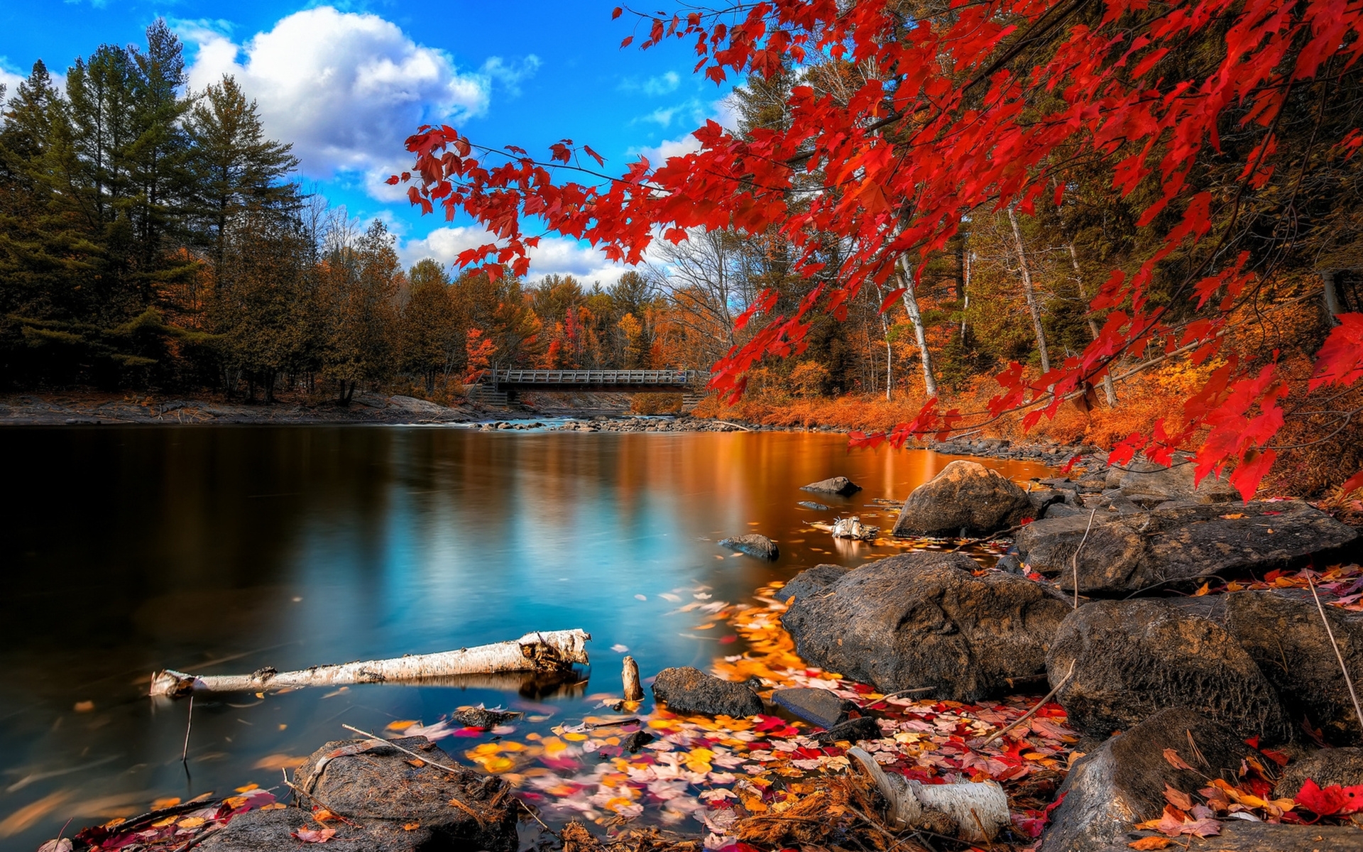 10 Latest Fall Desk Top Pictures FULL HD 1920×1080 For PC Desktop