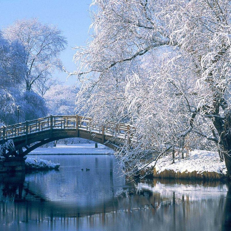 10 Most Popular Winter Nature Scenes Wallpaper FULL HD 1920×1080 For PC Background 2022 free download desktop winter scenes wallpaper nature for walls of androids high 800x800