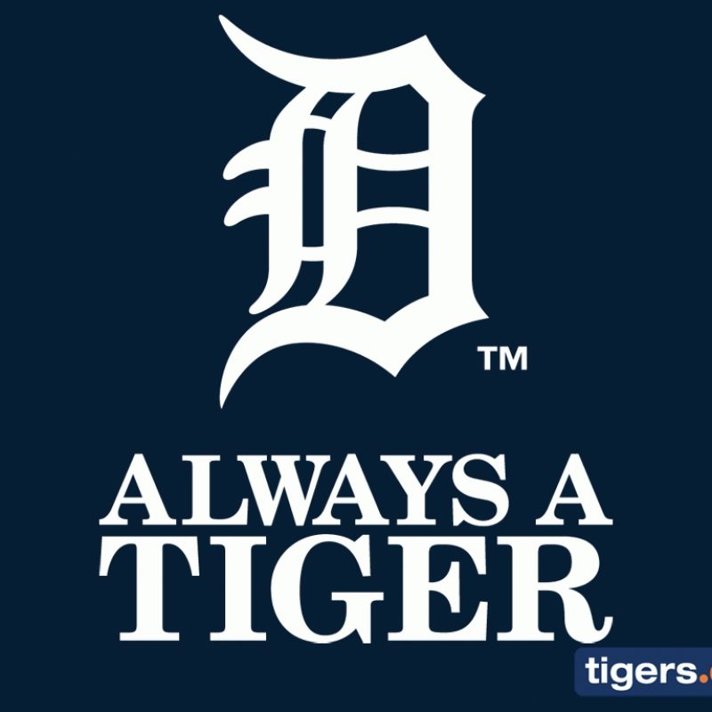 10 Latest Detroit Tigers Logo Wallpaper FULL HD 1080p For PC Desktop 2023 free download detroit tigers logo desktop wallpaper the ultimate detroit tigers 800x800