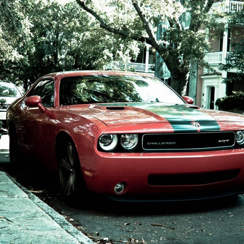 10 Top American Muscle Cars Wallpapers FULL HD 1920×1080 For PC Background 2023 free download dodge challenger srt street american muscle car wide hd wallpaper 800x800