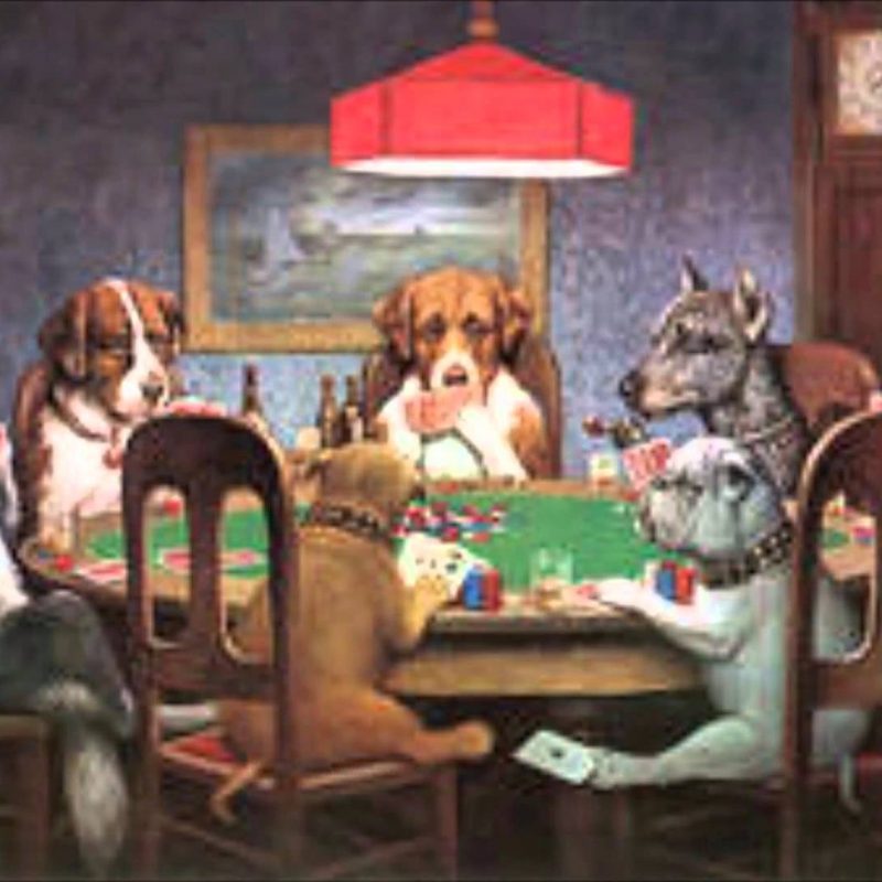 10 New Pictures Of Dogs Playing Cards FULL HD 1080p For PC Desktop 2022 free download dogs playing poker joke painting of the week youtube 800x800