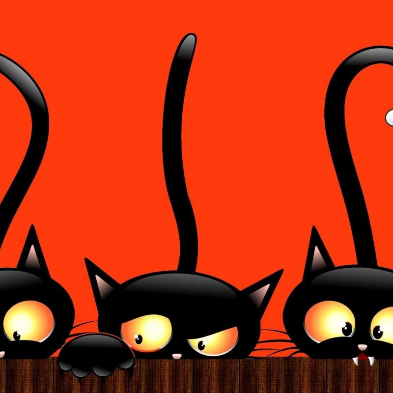 10 Latest Halloween Cat Desktop Wallpaper FULL HD 1080p For PC Desktop 2022 free download download 50 cute and happy halloween wallpapers hd for free happy 2 800x800