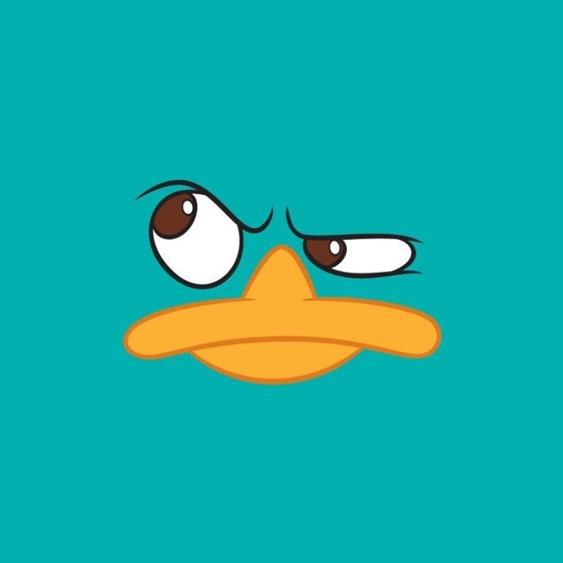 10 New Perry The Platypus Wallpaper FULL HD 1920×1080 For PC Background 2022 free download download perry the platypus wallpapers to your cell phone ferb hd 800x800
