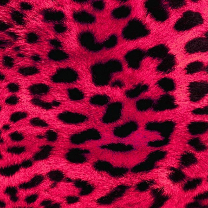 10 New Leopard Print Wallpaper Hd FULL HD 1080p For PC Background 2023 free download download pink leopard print free wallpaper 1920x1200 full hd 800x800