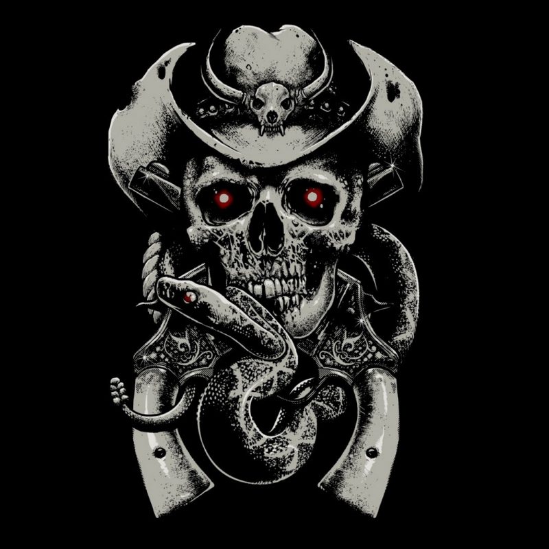 10 New Cool Skull And Guns Wallpapers FULL HD 1080p For PC Desktop 2023 free download download wallpaper 1920x1080 skull fear hat guns snake 800x800